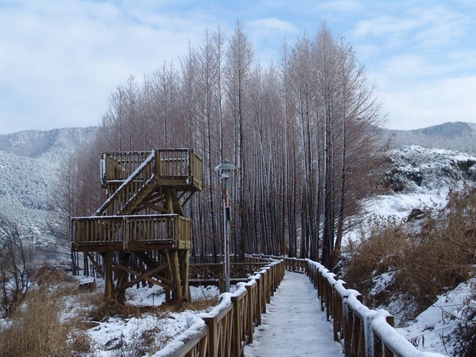 광주호 호수생태원