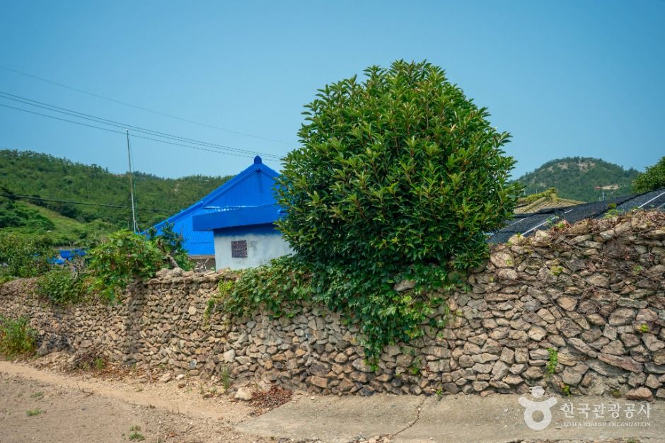 비금도 내촌마을 옛 담장