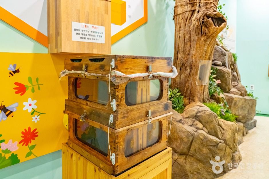 꿀벌나라테마공원
