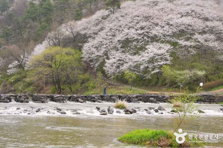 thumbnail-진천 농다리-9