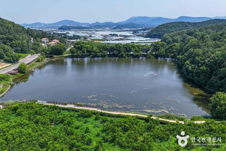 thumbnail-반곡지-9