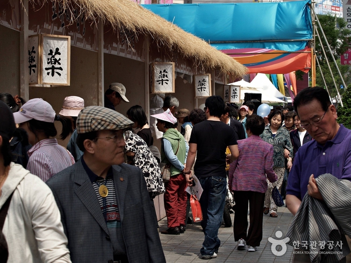 Festival de la Medicina Tradicional Yangnyeongsi de Daegu (대구약령시한방문화축제)