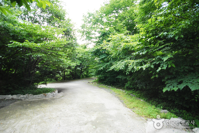 Ganwolsan Recreation Forest (간월산 자연휴양림)