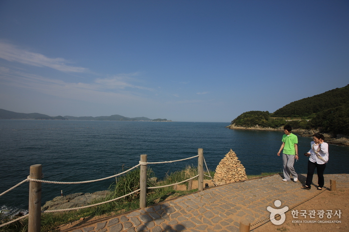 바람의 언덕 사진9