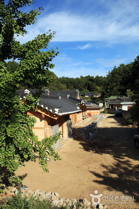 Yeongju Museom Village (영주 무섬마을)