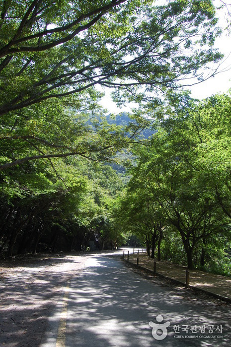 내장산국립공원 사진26