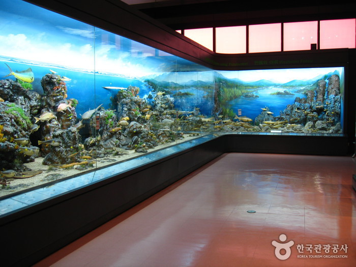 National Science Museum (국립중앙과학관)