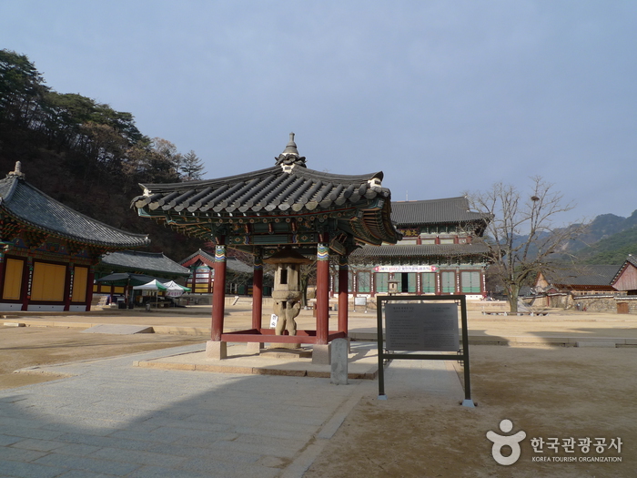 보은 법주사 사진21