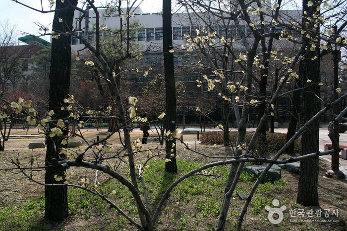 Parc Commémoratif de Gukchaebosang (국채보상운동기념공원)