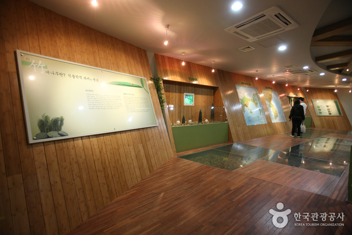 Koreanisches Bambusmuseum (한국대나무박물관)