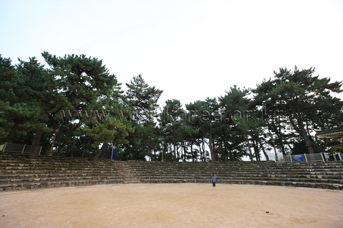 Suyeong Sajeok Park (수영사적공원)3