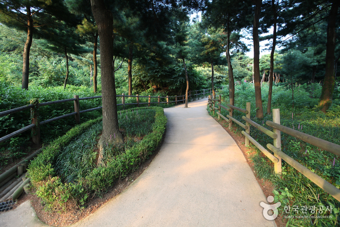 남산 야외식물원