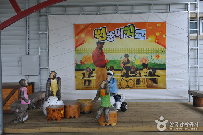 Monkey School (원숭이학교)