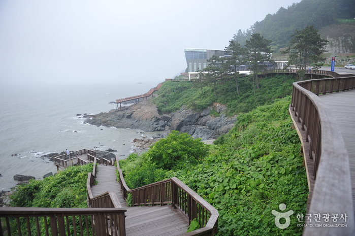 백수해안도로 사진4