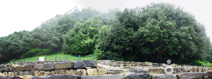 Seonunsa Temple (선운사)