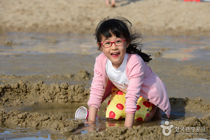 갯벌에서 즐거운 시간을 보내는 아이들