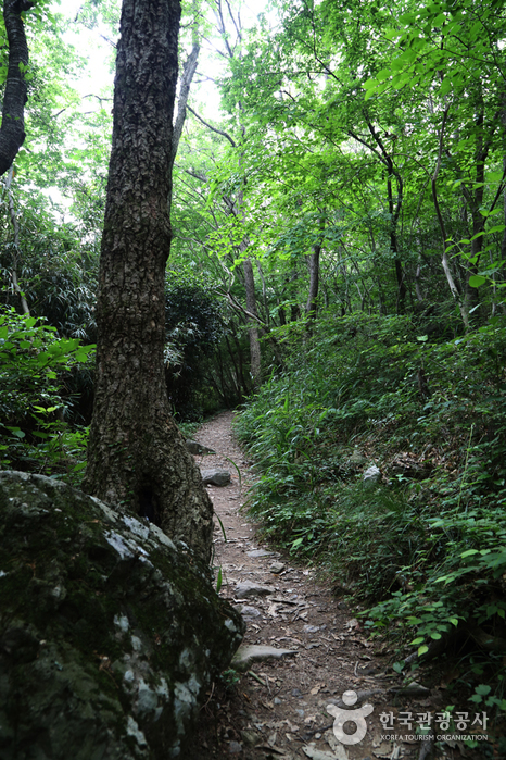 대흥사 매표소에서 오른쪽 산책길로 접어들면 그제야 두륜산의 정취를 제대로 느낄 수 있다