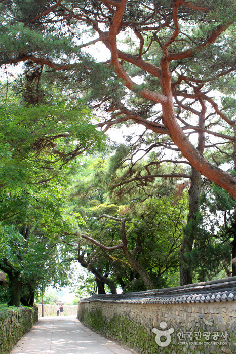 Asan-si Hot Springs Special Tourist Zone (아산시 온천 관광특구)