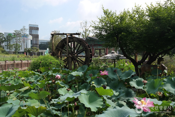Gran Parque Infantil (서울 어린이대공원)