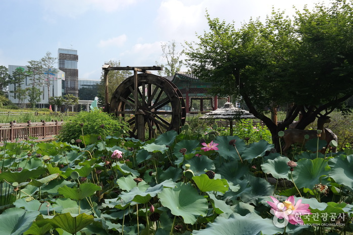 Gran Parque Infantil (서울어린이대공원)