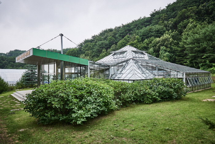 Эко-ботанический сад в Янгу (양구생태식물원)