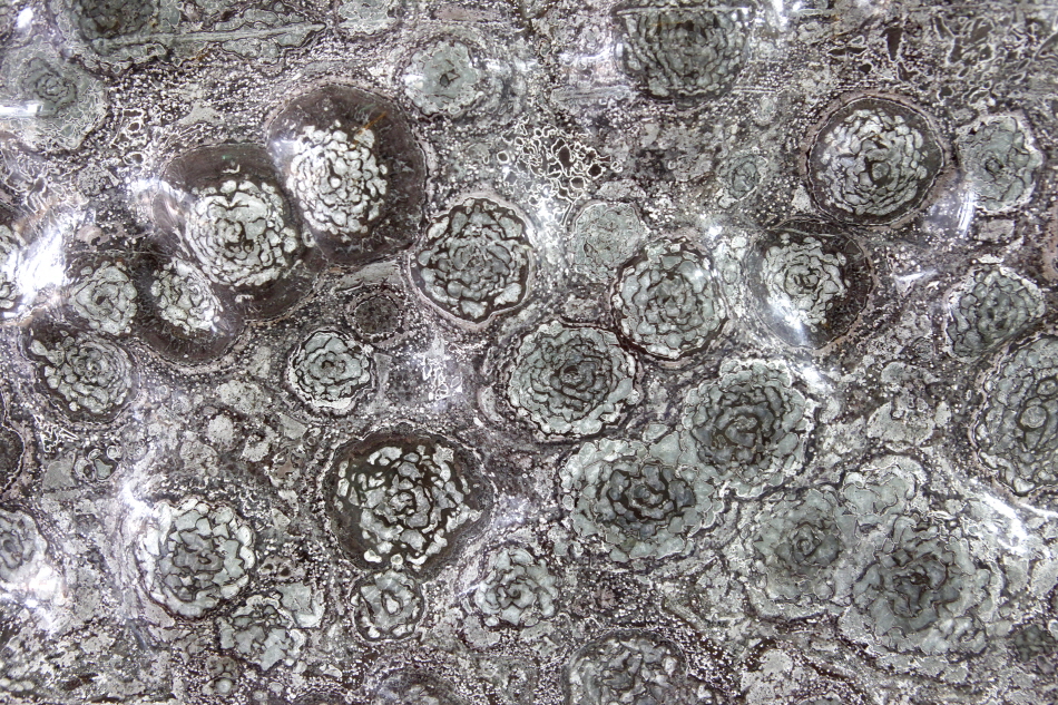 청송군수석꽃돌박물관에 전시된 모란 모양 꽃돌