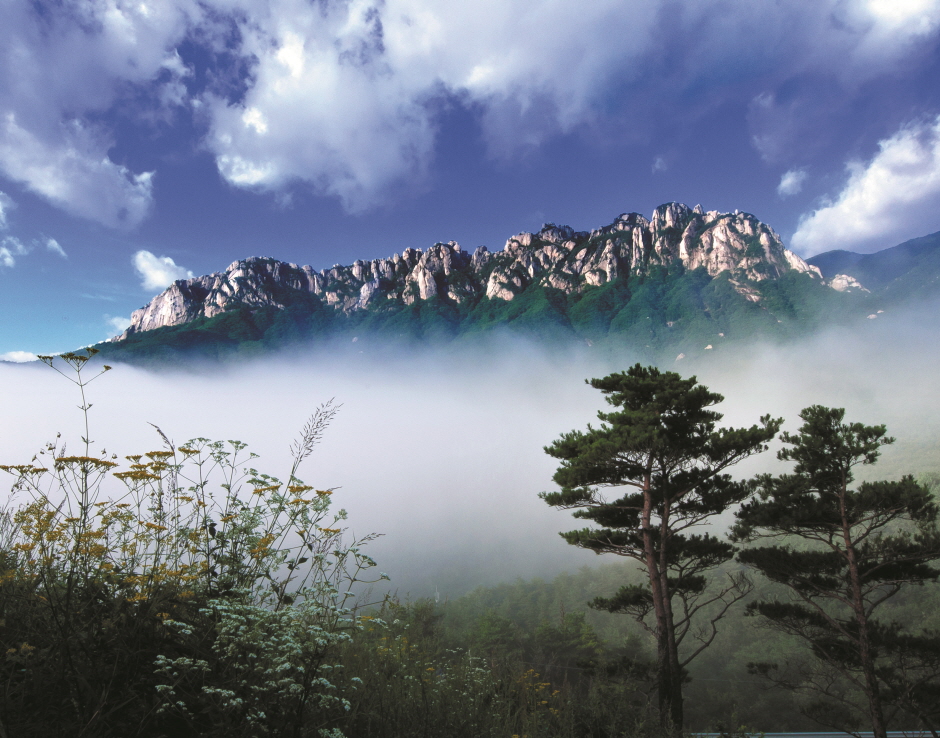 Destinations by Region : VisitKorea Destinations by Region Ulsanbawi Rock  (설악산 울산바위) | Official Korea Tourism Organization