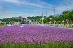 모산비행장 (2)