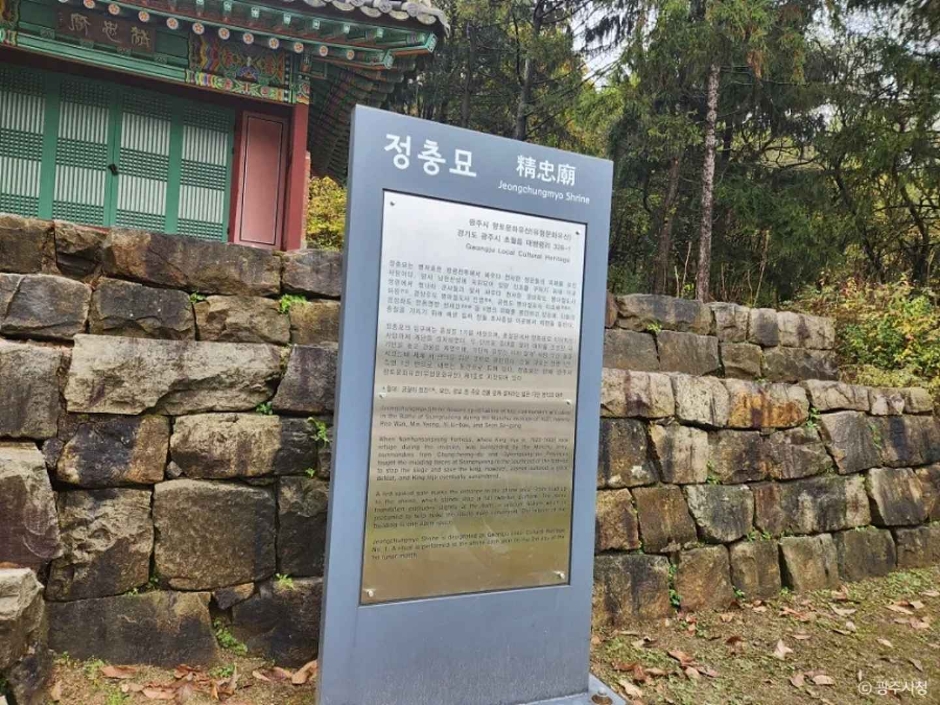 정충묘