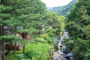 경북_김천_수도산자연휴양림 (5)