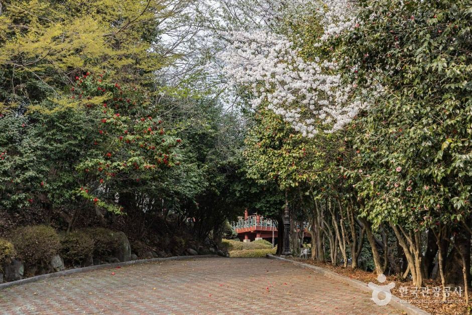 죽도봉공원