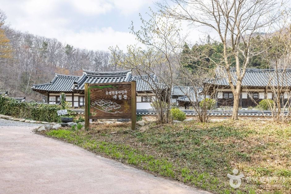 순천전통야생차체험관