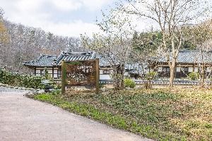 순천_순천전통야생차체험관 (2)