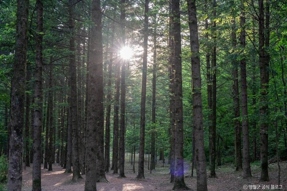 thumbnail-물무리골생태습지-25