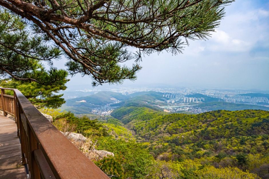 용인 8경