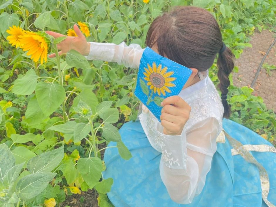 해와 바람의 정원, 해바라기 꽃길