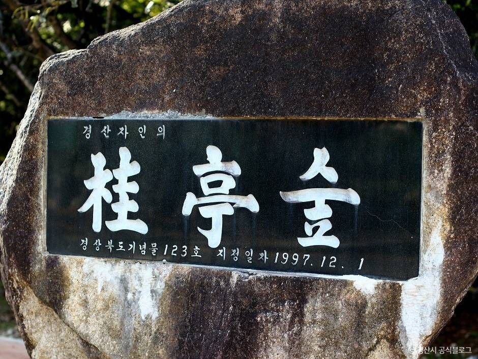 자인계정숲(경산 자인의계정숲)