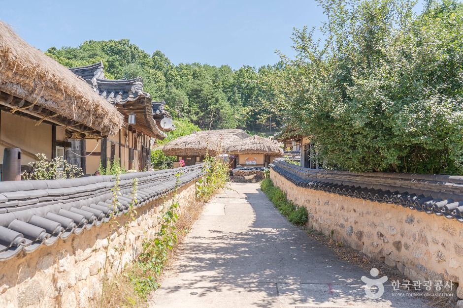 영주_영주무섬마을 (5)