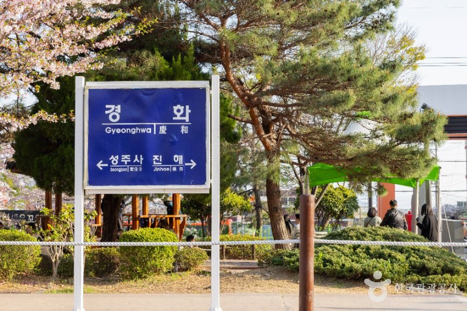 진해_경화역 벚꽃길 (3)