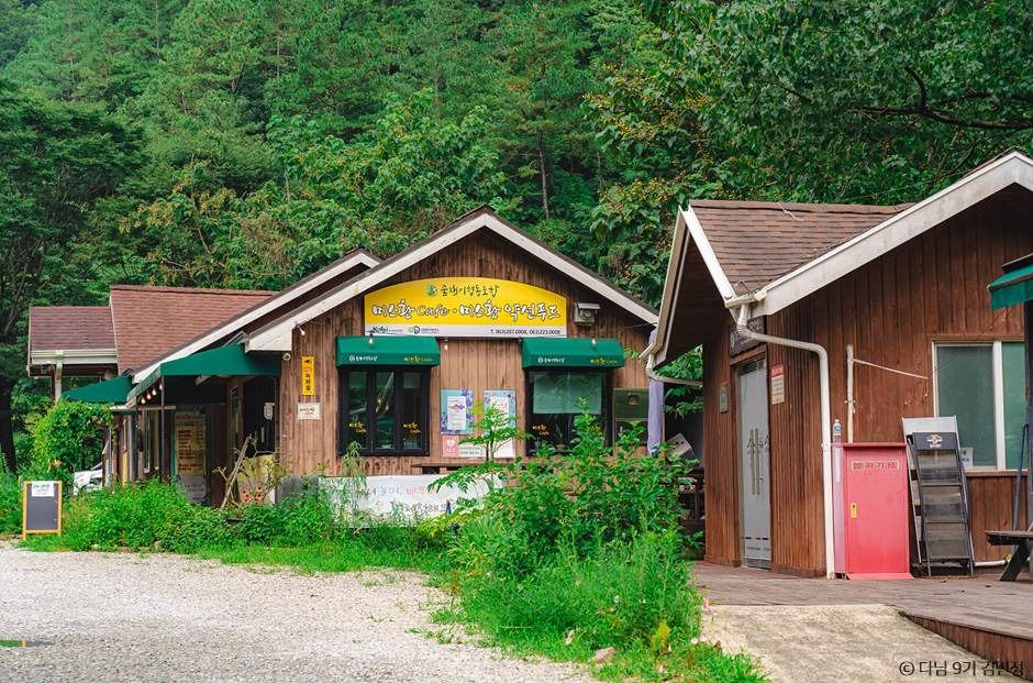 상관 공기마을 편백숲