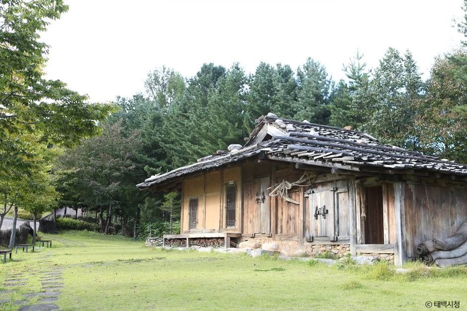 태백_황부자 며느리 친정가는 둘레길 (2)