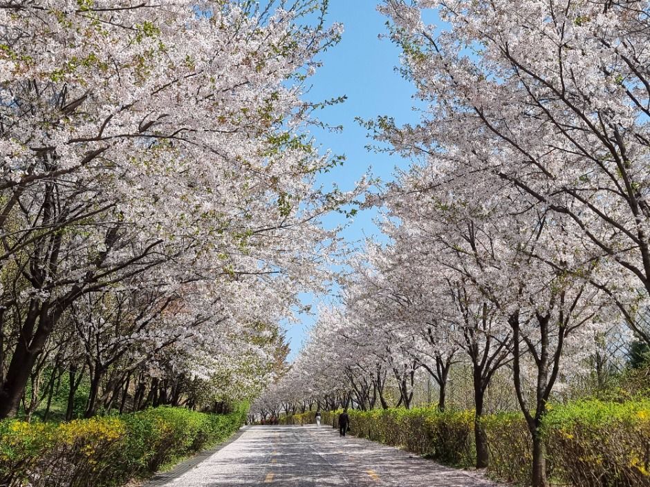 [서울둘레길 15코스] 노을·하늘공원코스