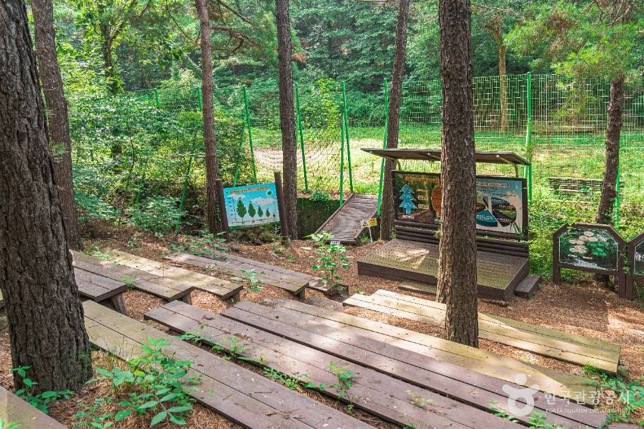 문수산산림욕장