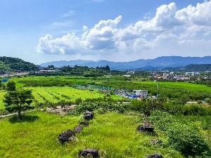청도_청도 범곡리 지석묘군 (7)