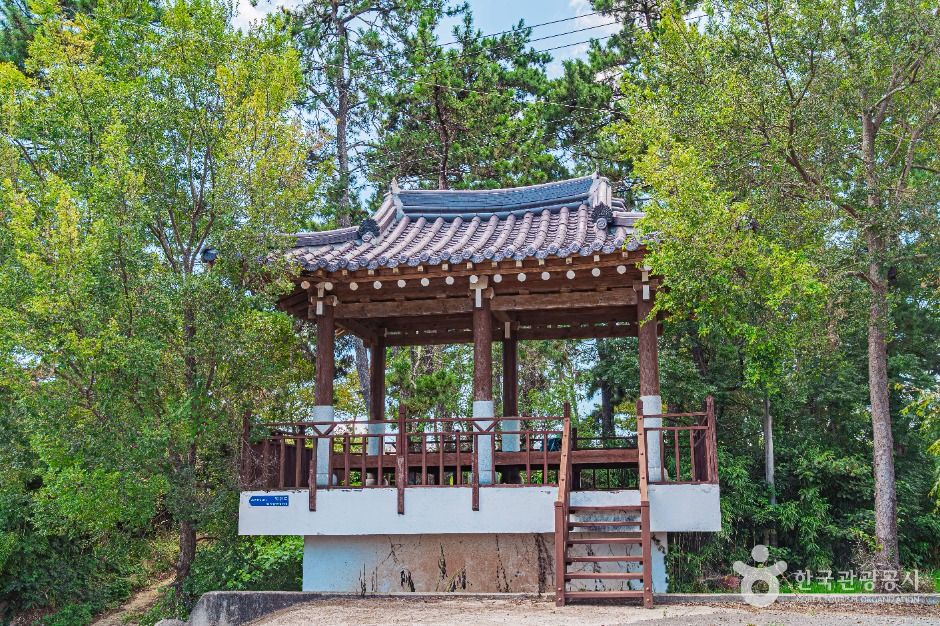 무안 하늘백련마을