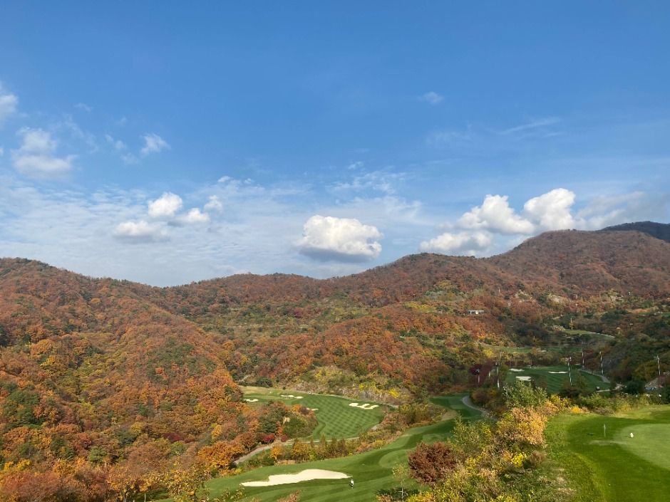 푸른솔 골프클럽 포천