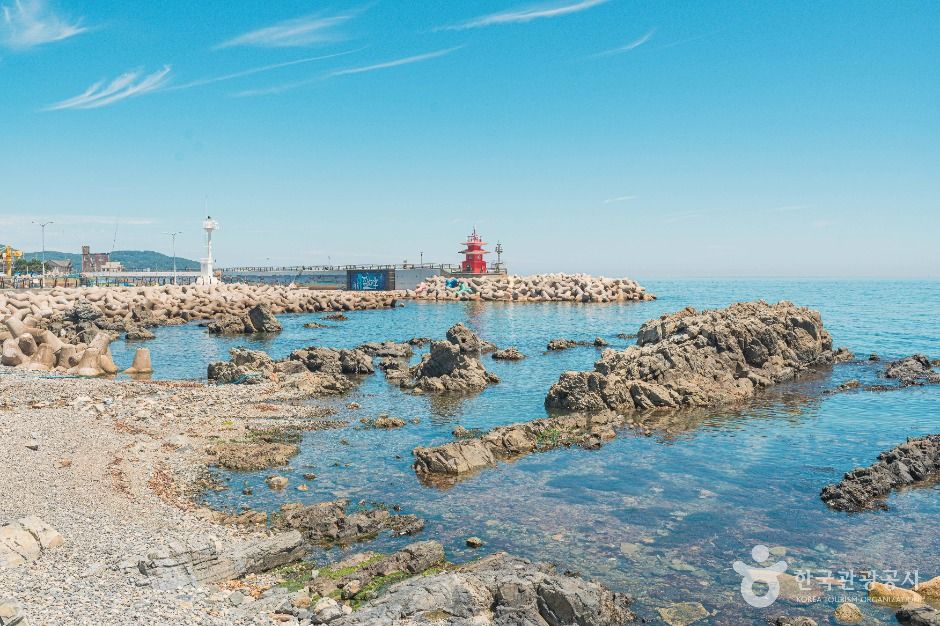 울산_주전항 (4)