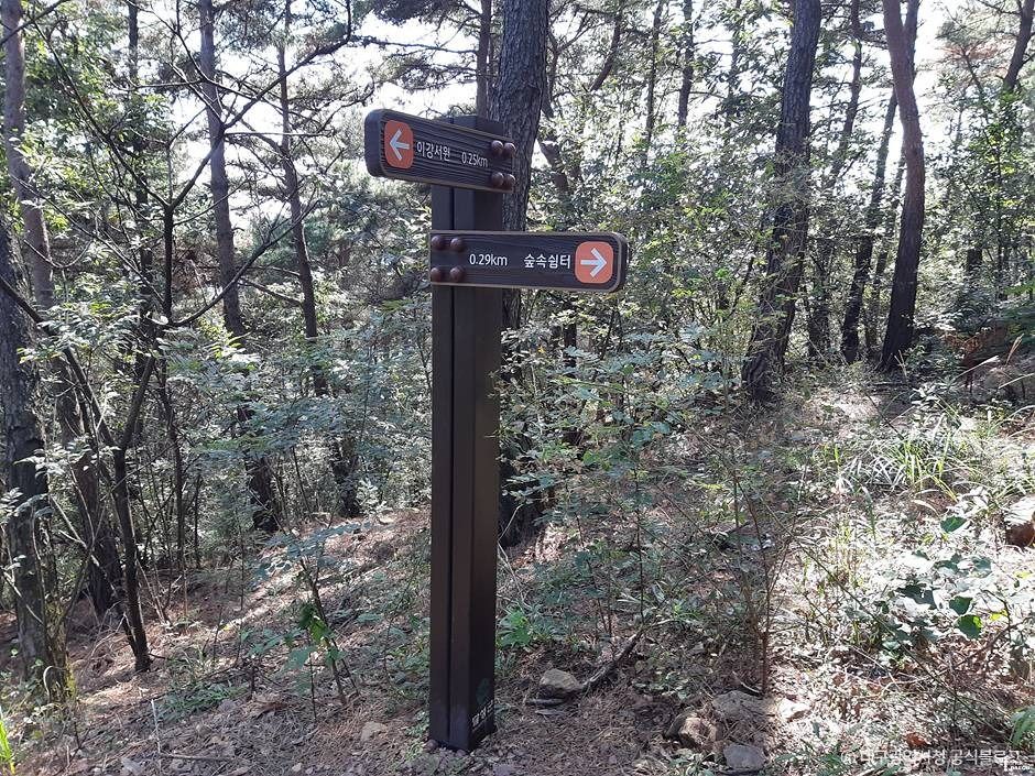 마천산산림욕장