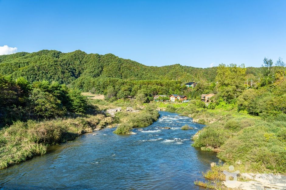 평창_금당계곡 (1)