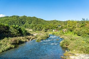 평창_금당계곡 (1)